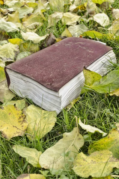 Fall book — Stock Photo, Image