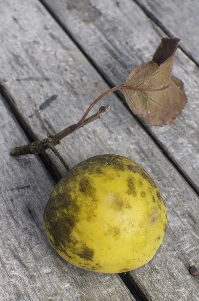 Manzana vieja — Foto de Stock