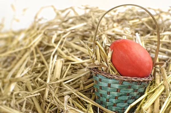 Easter basket with egg — Stock Photo, Image