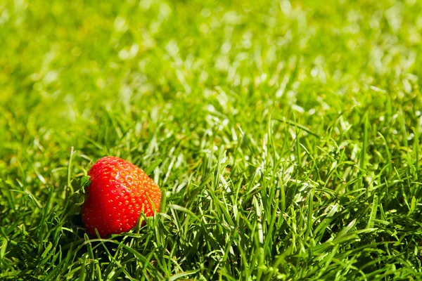 Ripe strawberry — Stock Photo, Image