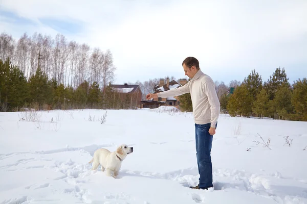 Winter labrador retriever met eigenaar — Stockfoto