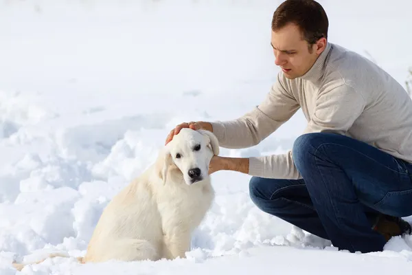 Winter Labrador Retriever mit Besitzer — Stockfoto