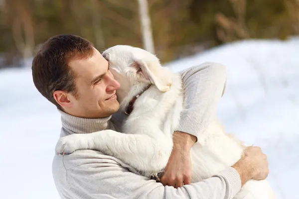 所有者と冬ラブラドル ・ レトリーバー犬 — ストック写真