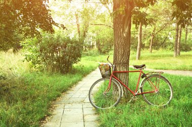 Vintage Bisiklet