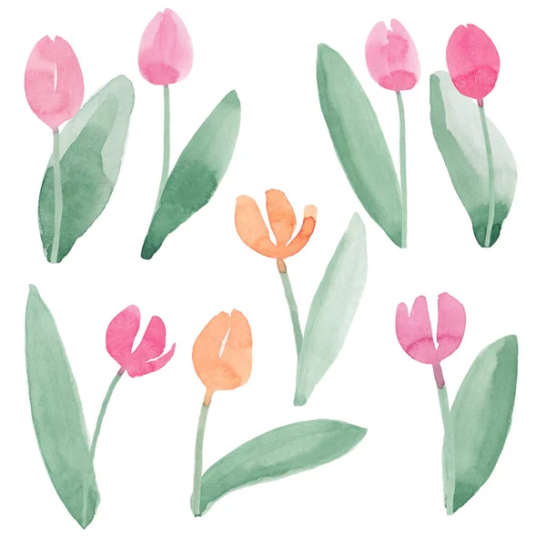 Prosty zestaw tulipanów, abstrakcyjny akwarela wolne strony ilustracja na pocztówkę, zaproszenie, baner — Zdjęcie stockowe