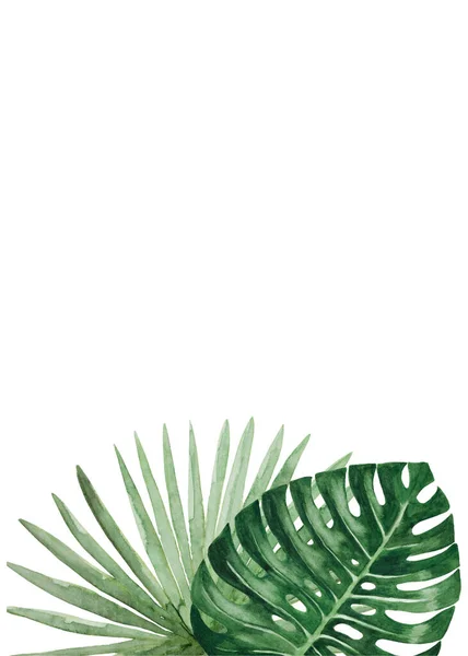 Wzór karty liści tropikalnych — Zdjęcie stockowe