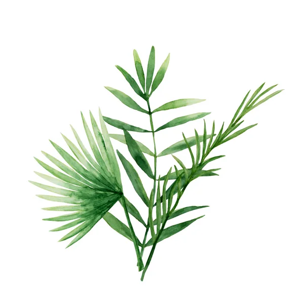 Bouquet di foglie di palma verde — Foto Stock