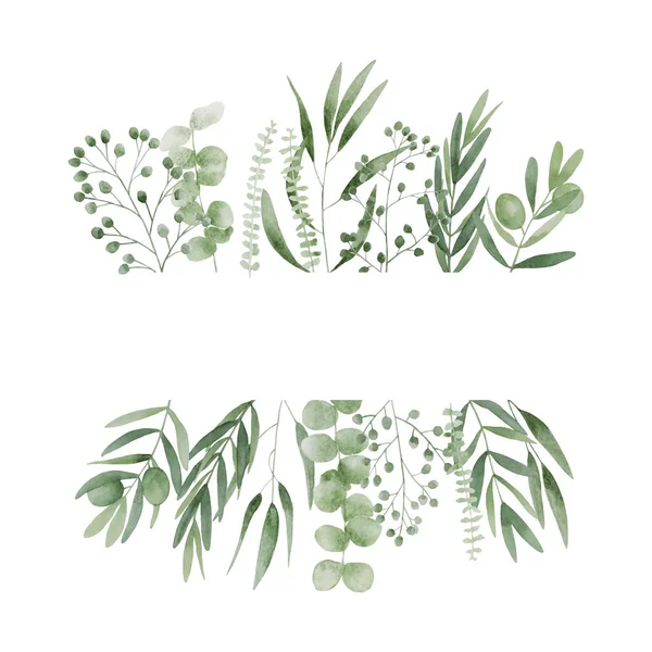 Aceitunas verdes eucalipto hierbas ramas marco — Foto de Stock