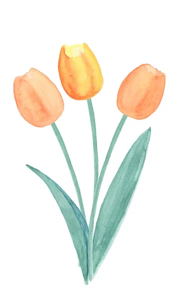 Tavaszi tulipán csokor — Stock Fotó