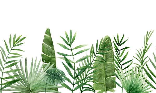 Hojas de palma verde borde sin costuras — Foto de Stock