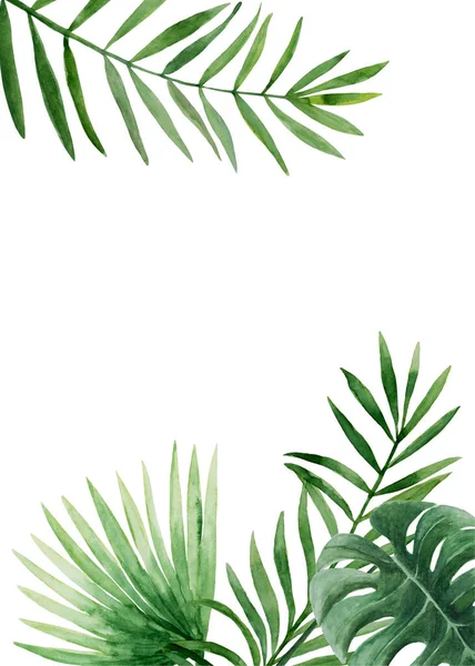Vorlage für tropische Blätter — Stockfoto