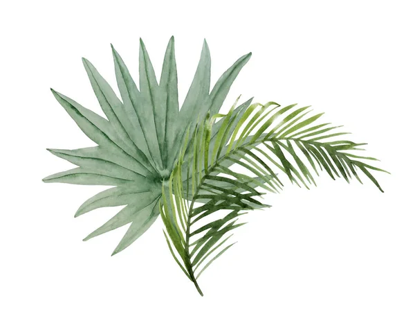 Ramo de hojas de palma verde —  Fotos de Stock