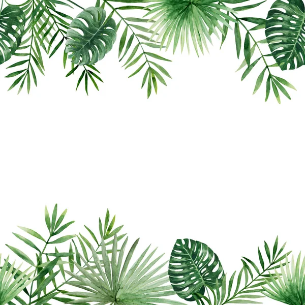 Folhas de palma verde sem costura fronteira — Fotografia de Stock