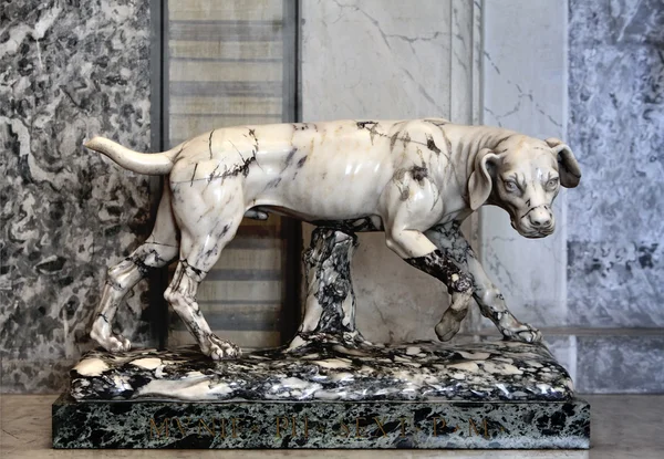 Marble dog — Stock Photo, Image