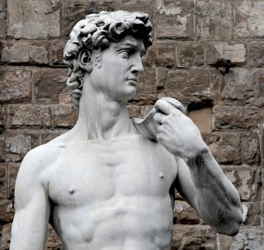 david başkanı