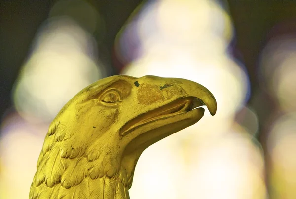 Águila dorada — Foto de Stock