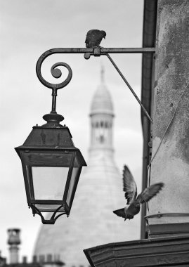 Montmartre güvercinler