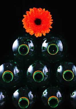 şişe geri dönüşüm