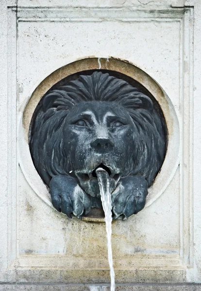 Lejon huvud marmor — Stockfoto