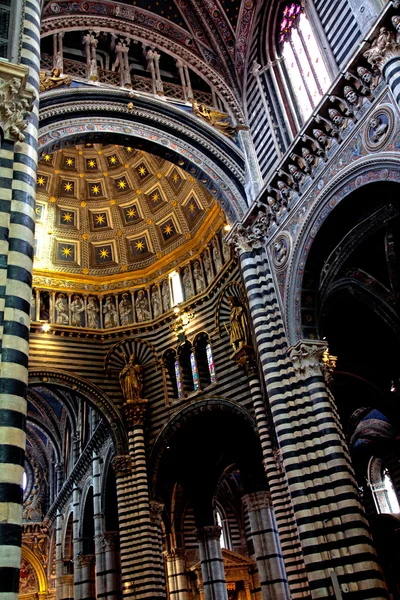 Catedral Interior — Fotografia de Stock