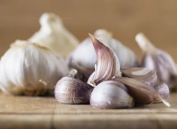 Garlic selective focus — Stock Photo, Image