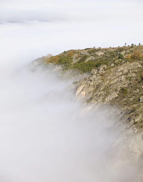 Niebla en la montaña 2 — Foto de Stock