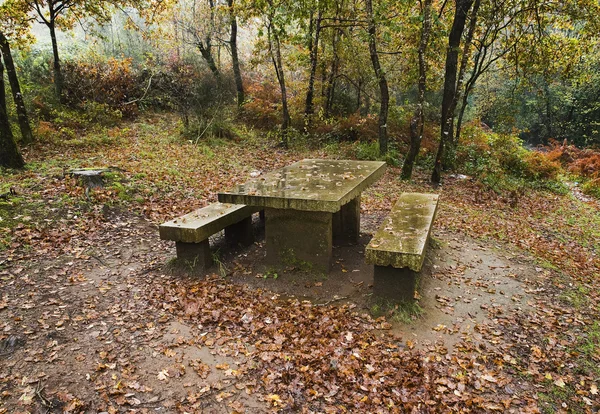 Sten benche och tabell i regn dagen — Stockfoto