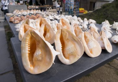 hatıra yazısı