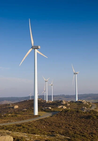 Windturbines en landschap — Stockfoto
