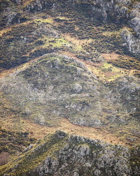 Pendiente montaña — Foto de Stock