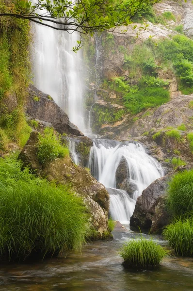 Schoonheid waterval in de natuur — Stockfoto