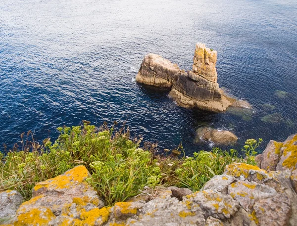 Coastal detail in Galicia, Spain. — Stock Photo, Image