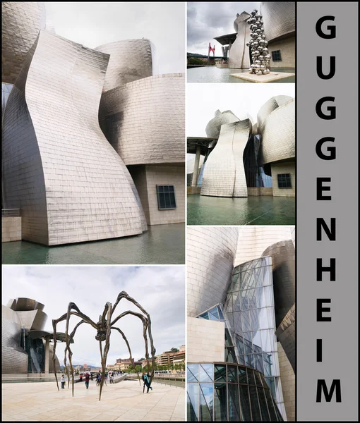 毕尔巴鄂、 西班牙 7 月 19： 在毕尔巴鄂，西班牙，o 的古根海姆博物馆 — 图库照片