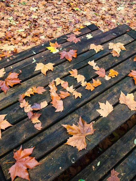 Parole Tomber sur une table dans la forêt — Photo