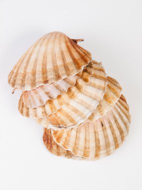 Fistolar yığılmış