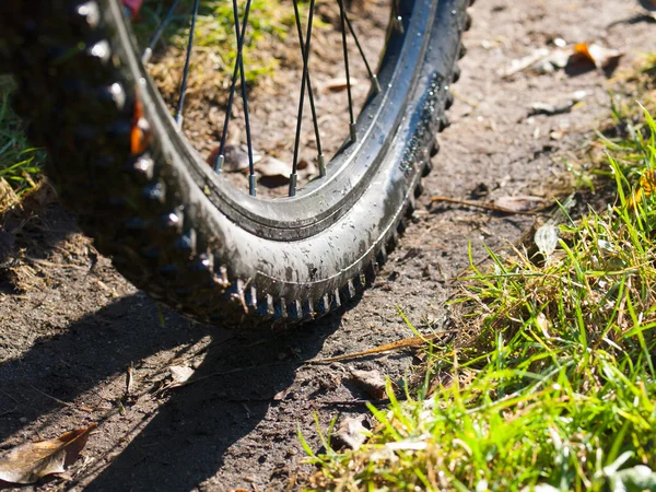 Berg fiets wiel detail — Stockfoto