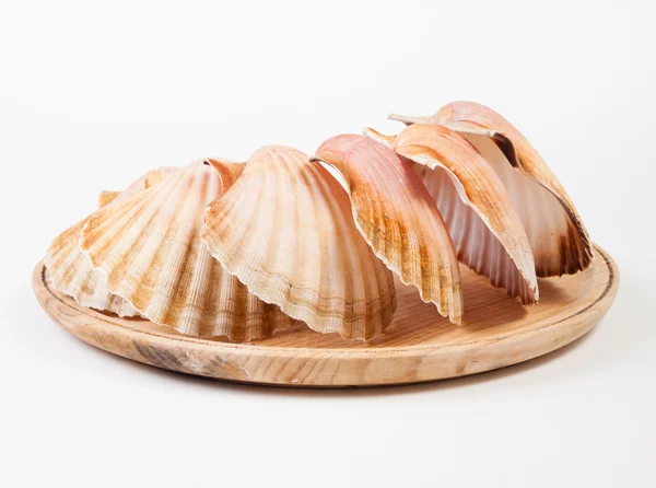 Coquilles de pétoncles sur une assiette en bois — Photo