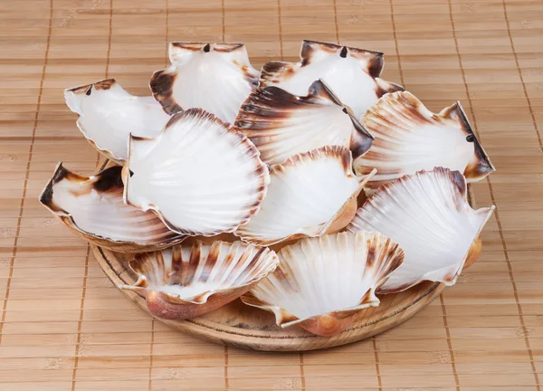 Assiette en bois avec coquille pétoncles — Photo