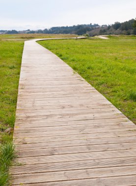 bir parkta yol açın