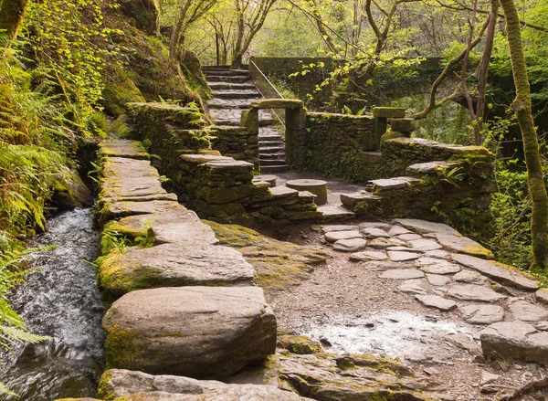 Ruïnes in het midden van het bos in Galicië. — Stockfoto