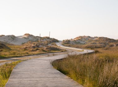 Sahilde sahil yürüyüşü