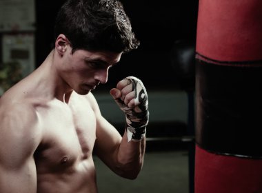 Genç Beyaz boxer 