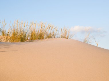 Dune arka plan detay