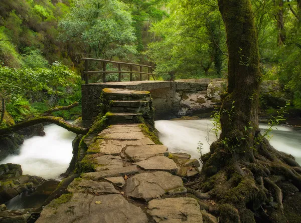 Prachtig uitzicht in refugio de verdespiękny widok w refugio de verdes — Stok fotoğraf