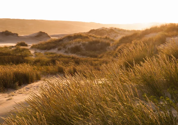 Coucher de soleil dans une dune de la plage — Photo