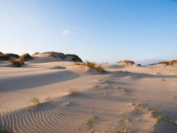 Dune sur la plage — Photo