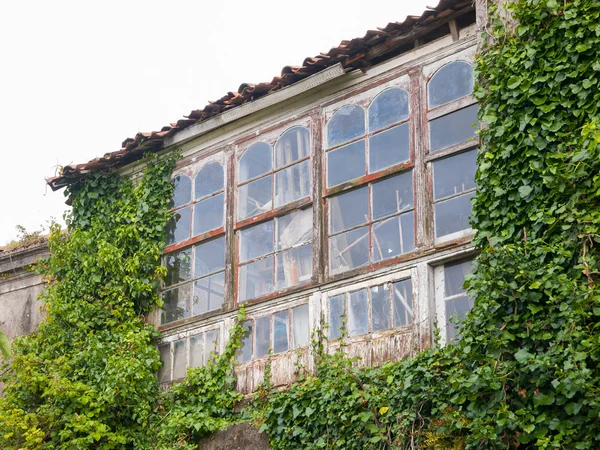 Verlaten huis binnengevallen door de natuur — Stockfoto