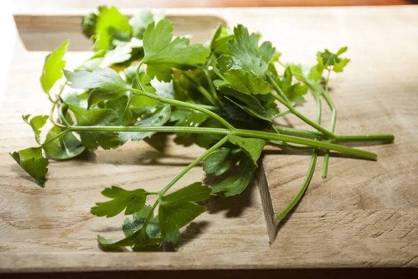 Parsley — Stock Photo, Image