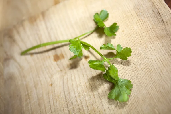 Peterselie — Stockfoto