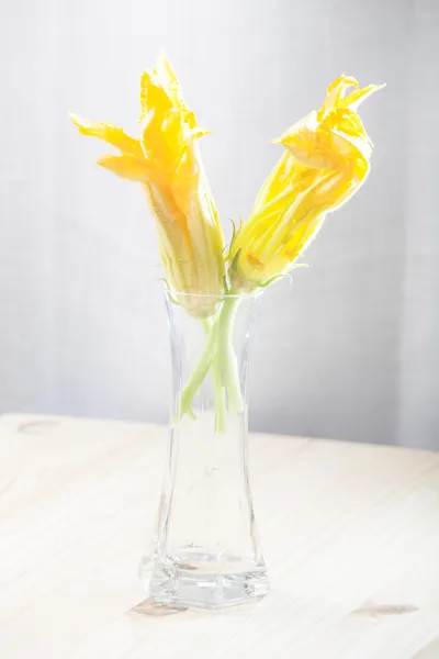 Fleurs de courgettes — Photo